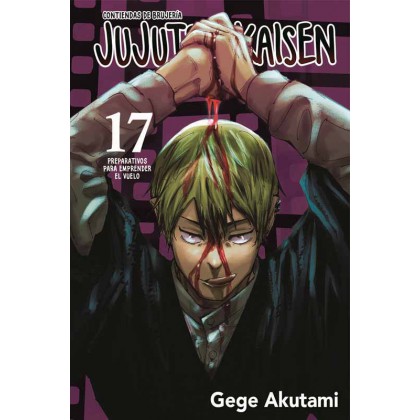 Jujutsu Kaisen 17 